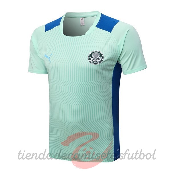 Entrenamiento Palmeiras 2022 2023 Verde Claro Camisetas Originales Baratas